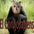 elcorujosapiens
