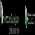 autor logo